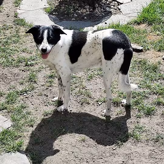 Foto von Kalli