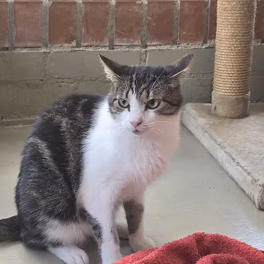 Foto von Ernie