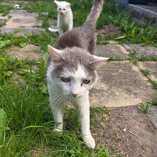 Foto von Teddy
