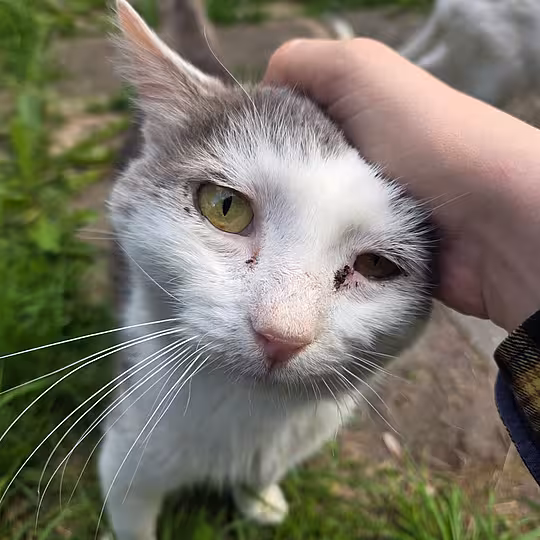 Foto von Teddy