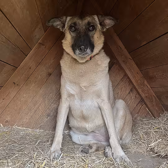 Foto von Rina
