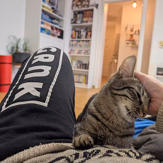 Foto von Findus