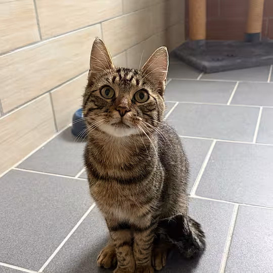 Foto von Gus