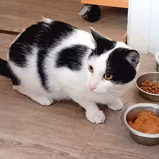 Foto von LARA