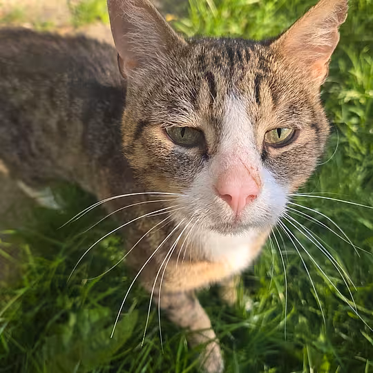 Foto von Frank (Frääänk)