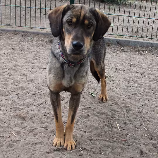 Foto von Ana