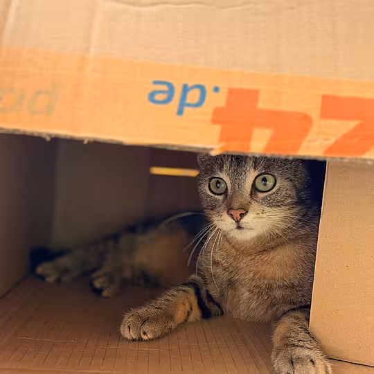 Foto von Vito & Ludmilla