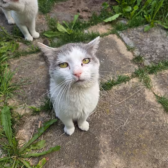 Foto von Teddy