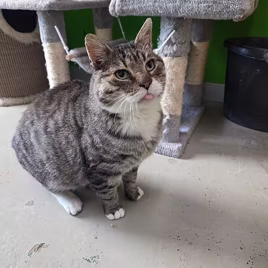 Foto von Axel