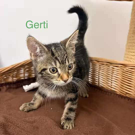 Foto von Gerti