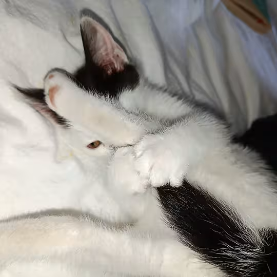Foto von Snupi und Nadia