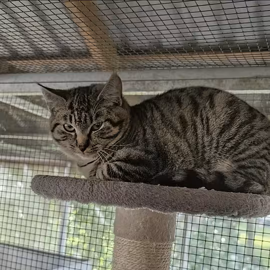 Foto von Holly 