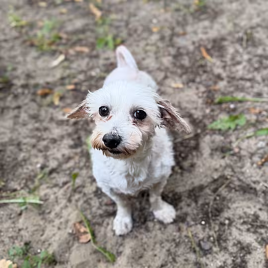 Foto von Trudi