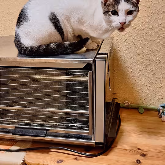 Foto von Trollo