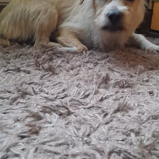 Foto von Suna