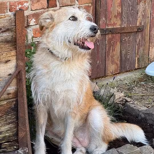 Foto von Tallulah