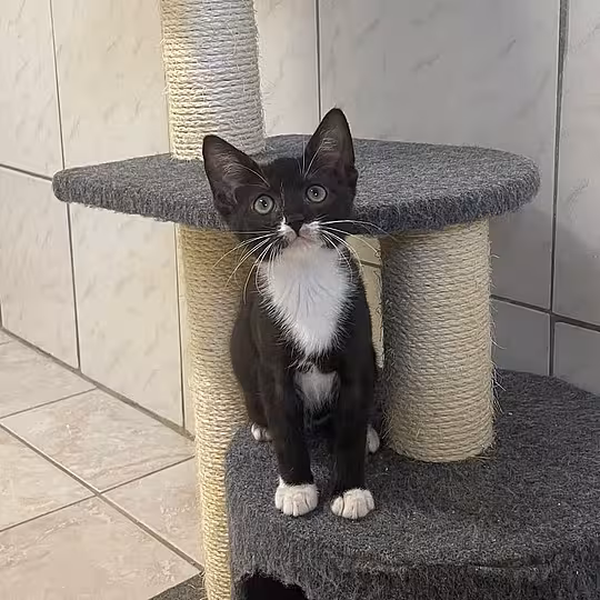 Foto von Isla & Zeynep