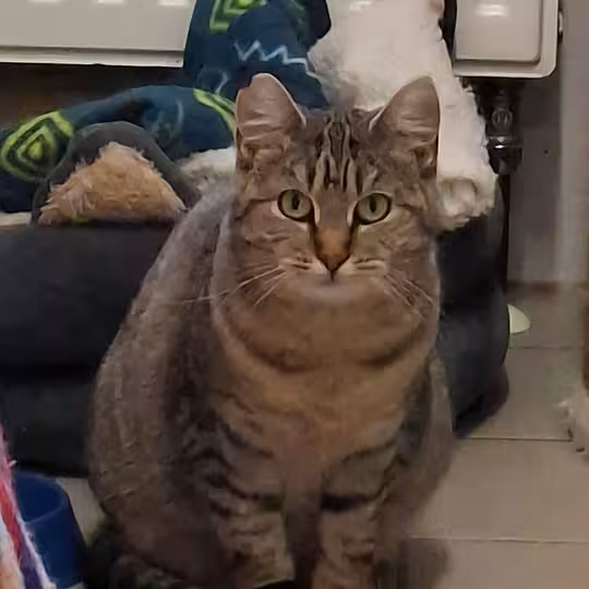 Foto von Doris