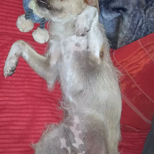 Foto von Suna