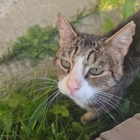Foto von Frank (Frääänk)