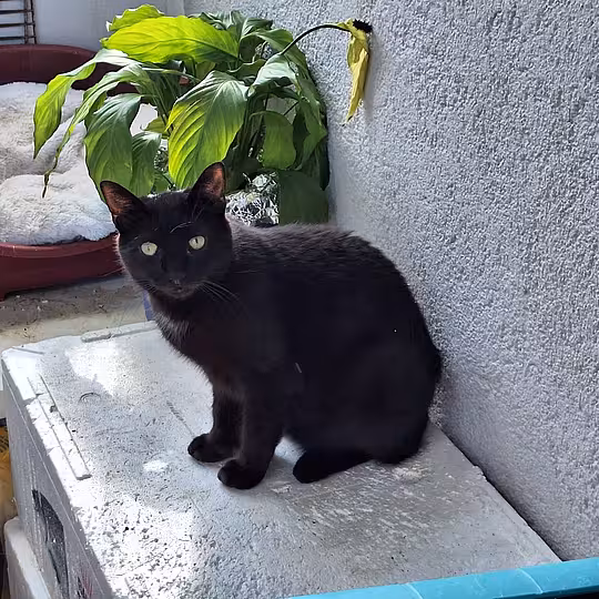 Foto von Gabi und Garry