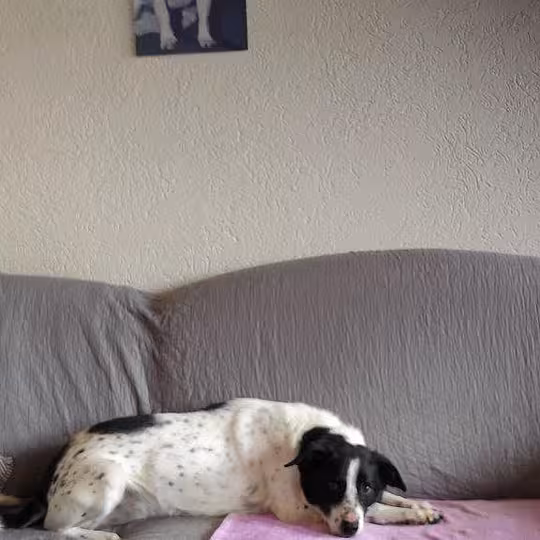 Foto von Kalli