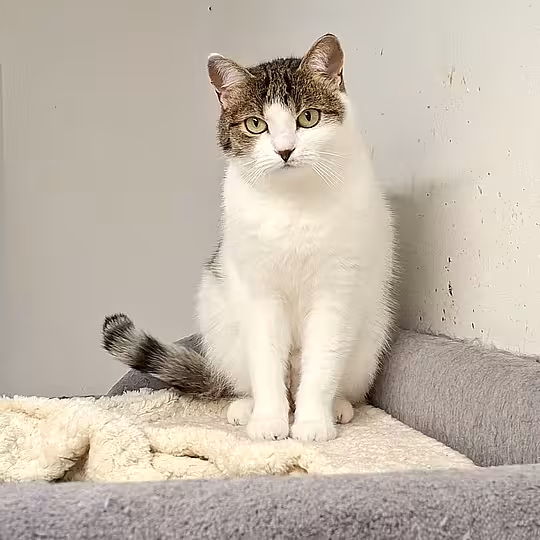 Foto von Mia