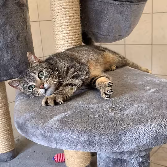 Foto von Vito & Ludmilla