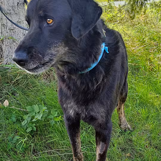 Foto von Tayson
