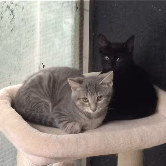 Foto von Alex und Alice 