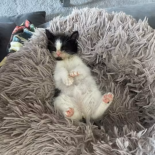 Foto von Emmi