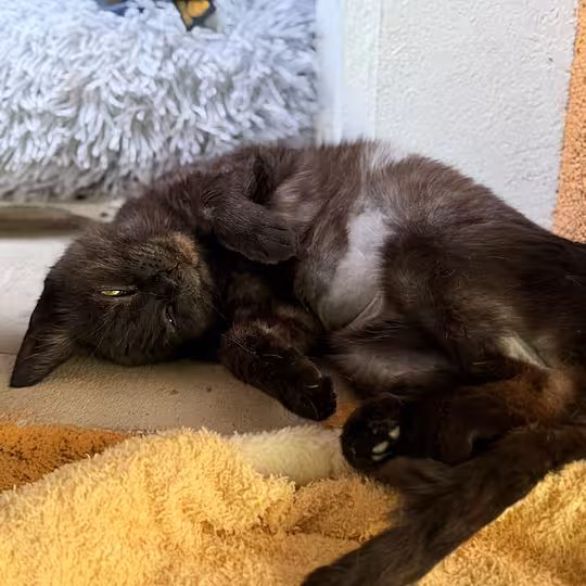 Foto von Malu