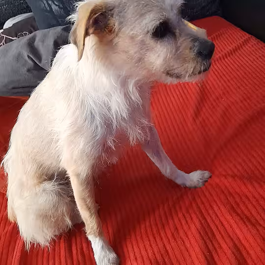 Foto von Suna