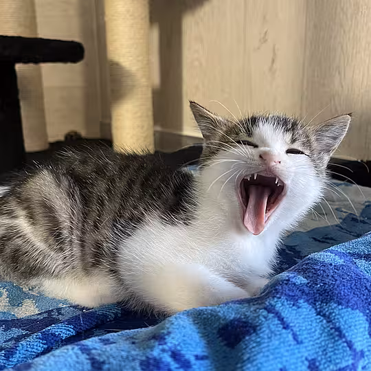 Foto von LUIGI