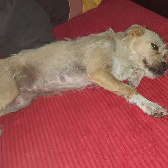 Foto von Suna