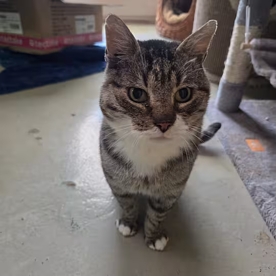 Foto von Axel