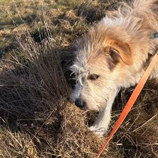 Foto von Tallulah
