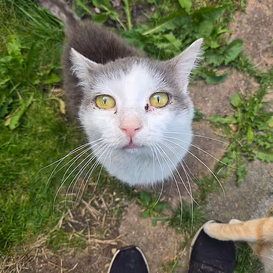Foto von Teddy