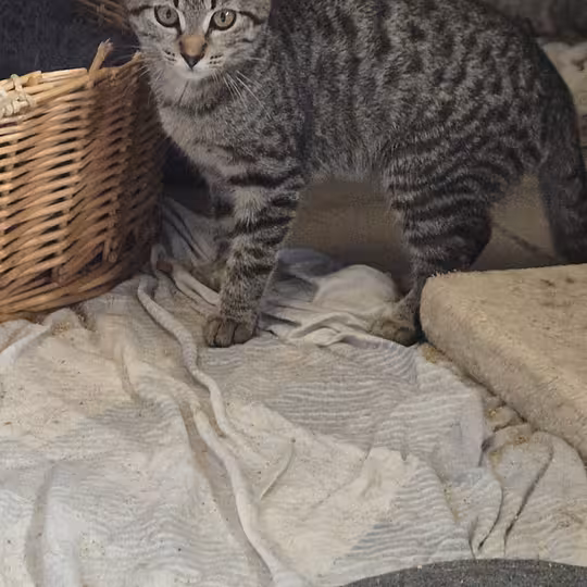 Foto von Bertha
