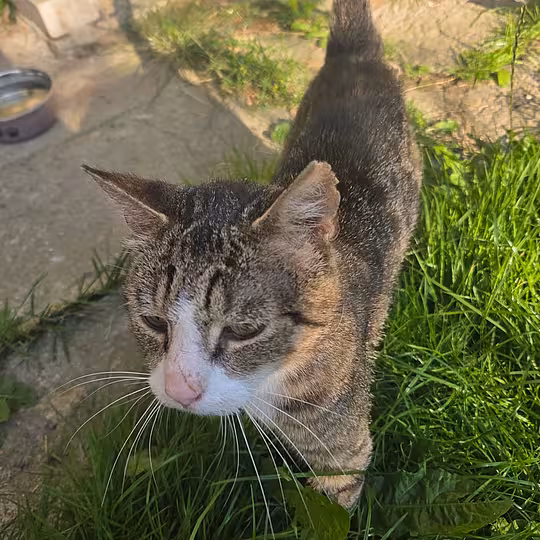 Foto von Frank (Frääänk)