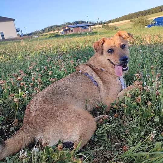 Foto von Malou