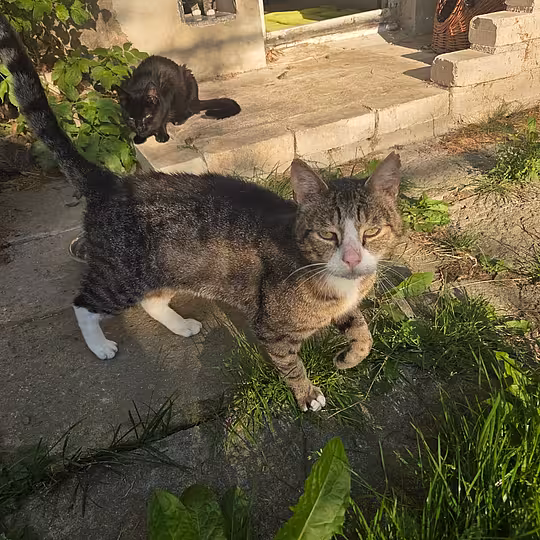Foto von Frank (Frääänk)