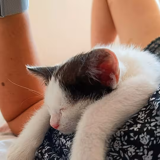 Foto von Snupi und Nadia