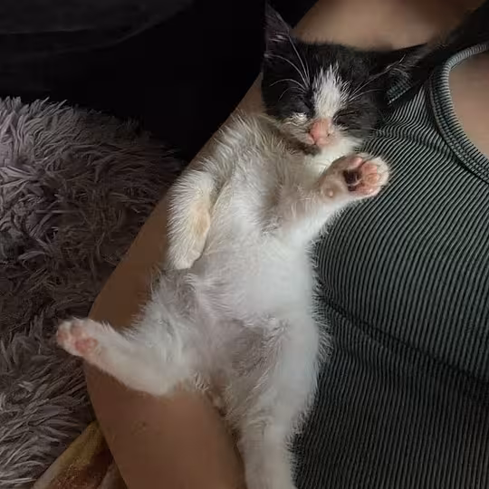 Foto von Emmi