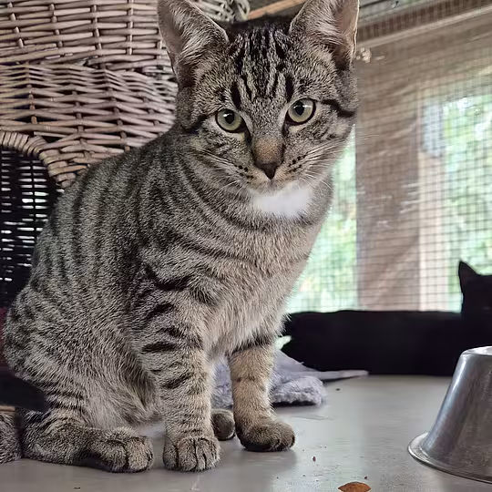 Foto von Hercules