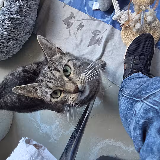 Foto von Luna