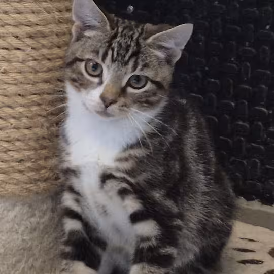Foto von Bob