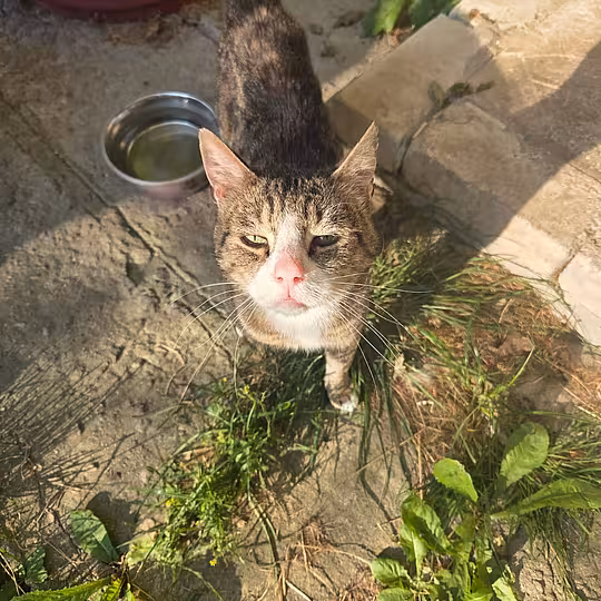Foto von Frank (Frääänk)