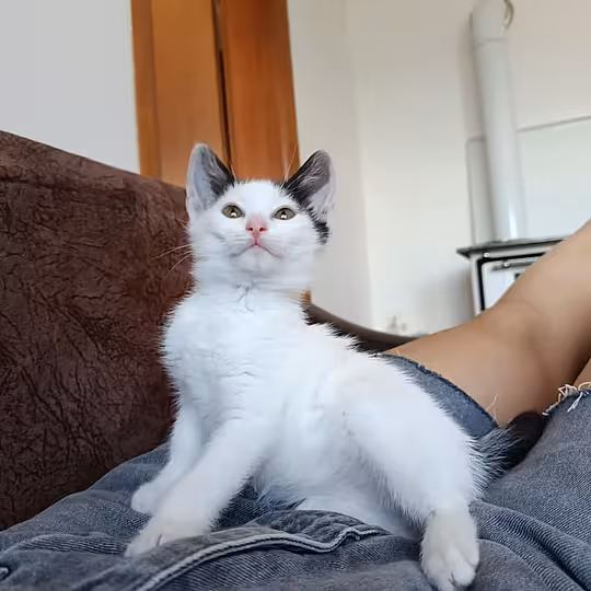 Foto von Snupi und Nadia
