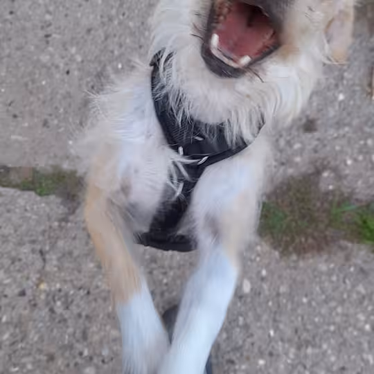 Foto von Suna